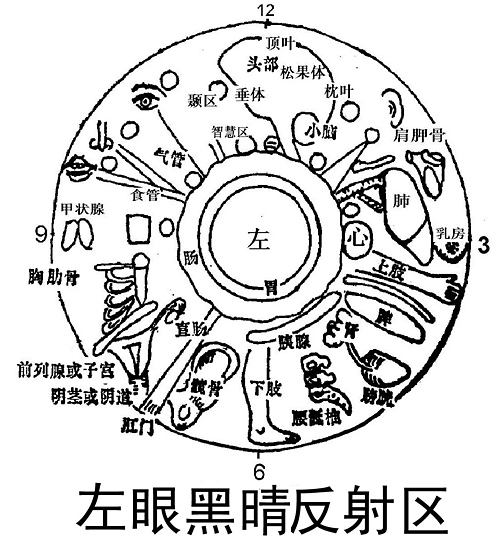 下面是左眼白身体各器官的反射区放大图.